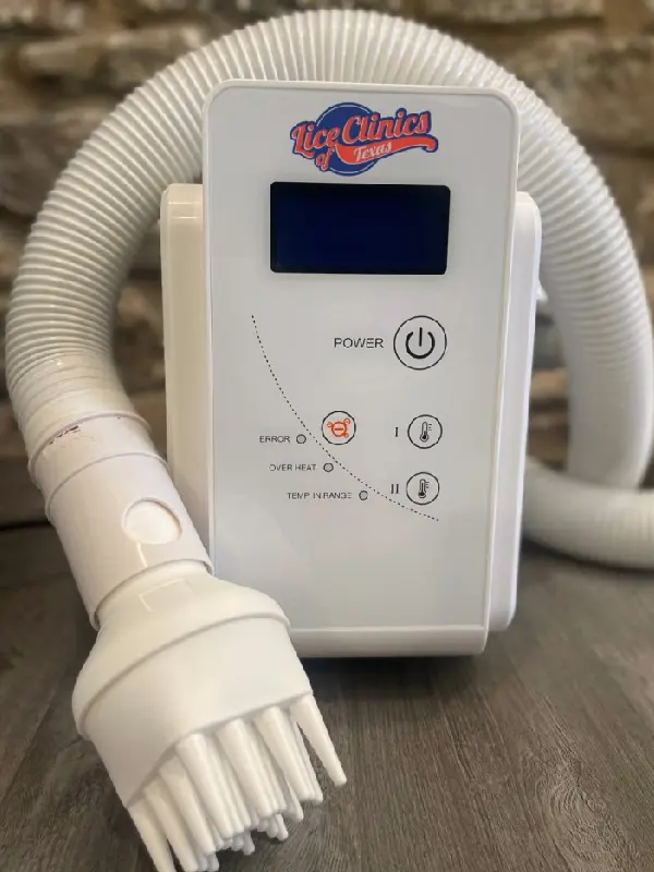 10 Fast Facts About Lice Eggs